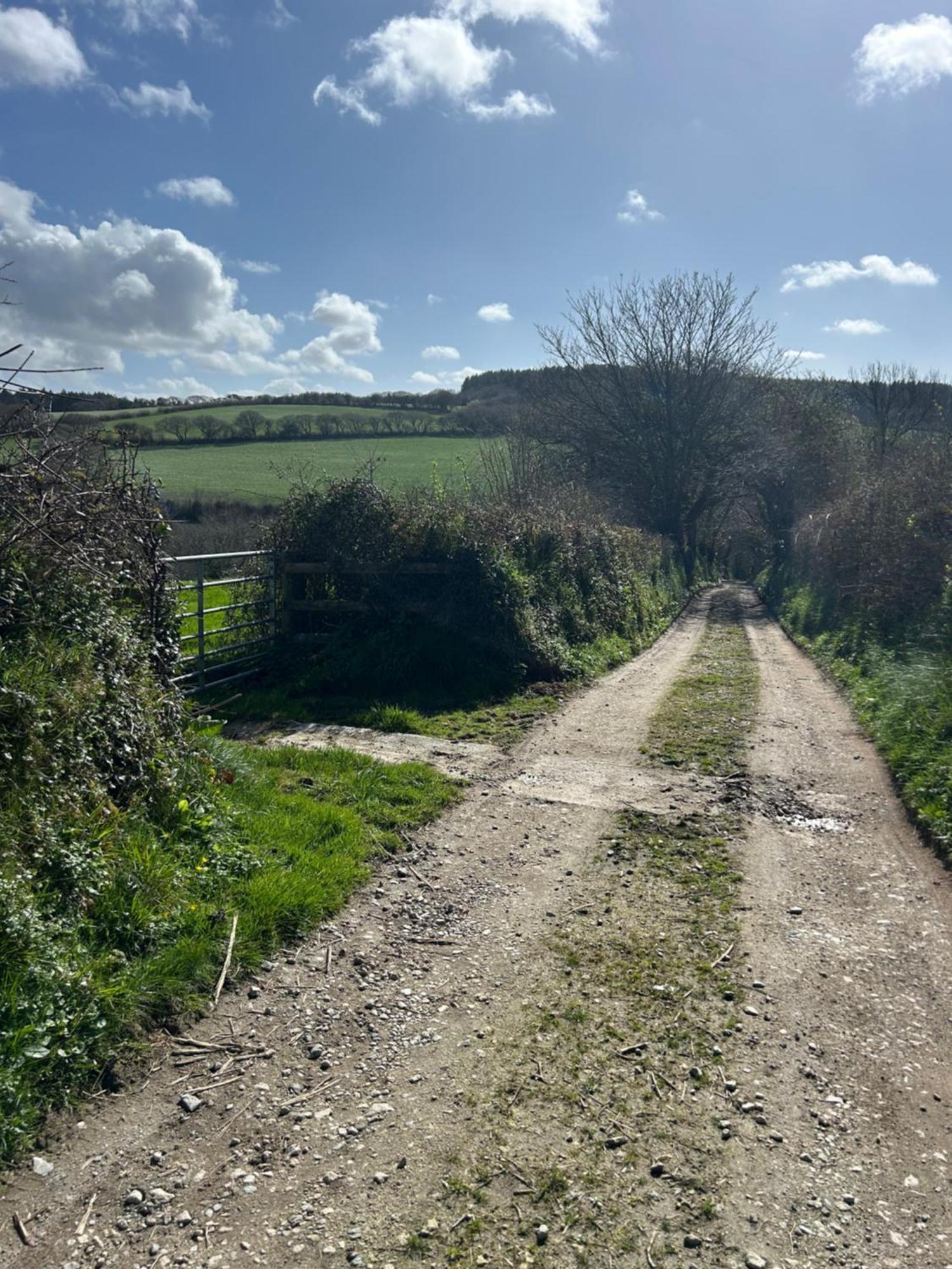 Meadowside Cottage, Characterful Grade 2 Listed Cottage Near To Wadebridge And Padstow Esterno foto